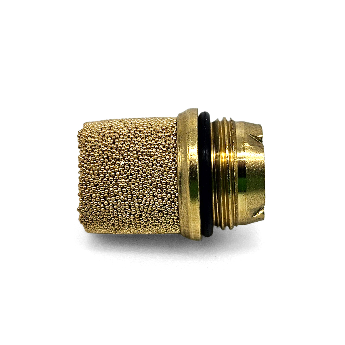 Snap Check Fuel Valve, 100 PSI